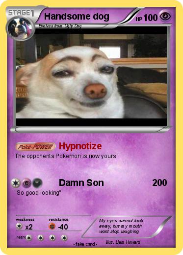 Pokemon Handsome dog