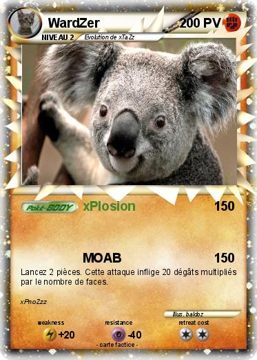 Pokemon WardZer
