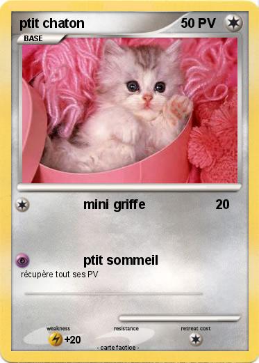Pokemon ptit chaton