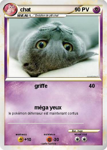 Pokemon chat