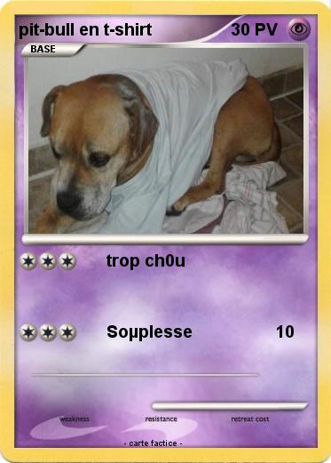 Pokemon pit-bull en t-shirt