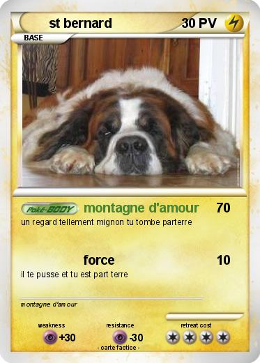 Pokemon st bernard