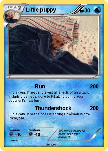 Pokemon Little puppy
