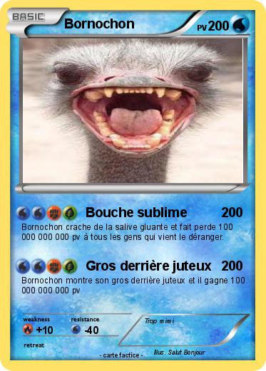 Pokemon Bornochon