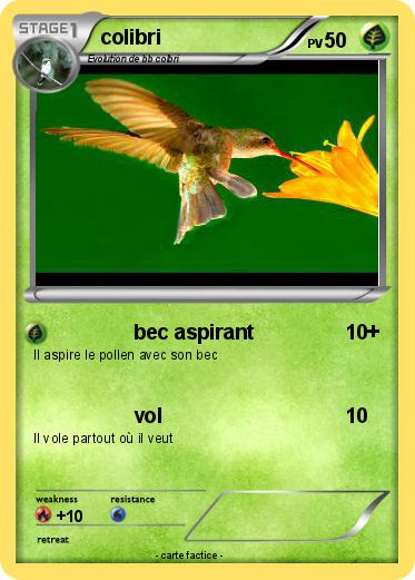 Pokemon colibri
