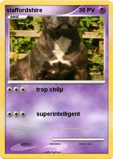 Pokemon staffordshire