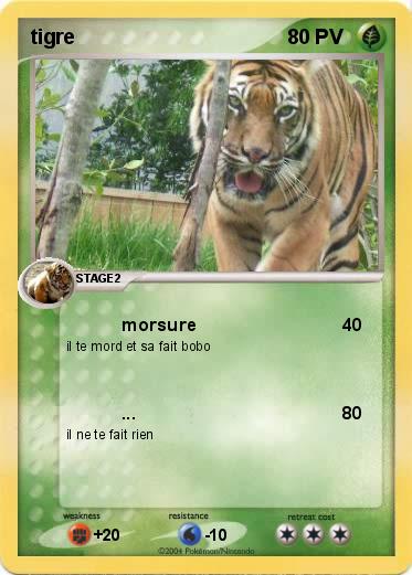Pokemon tigre                                    