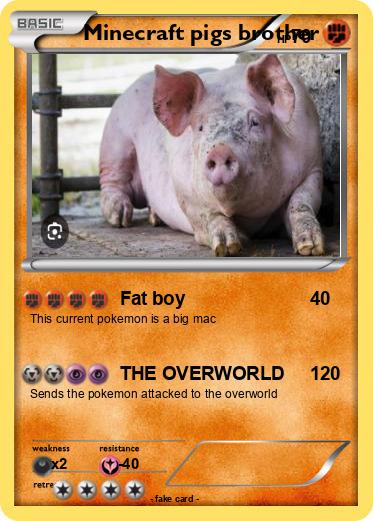 Pokemon Minecraft pigs brother