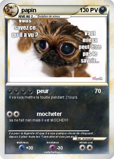 Pokemon papin