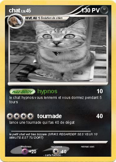 Pokemon chat
