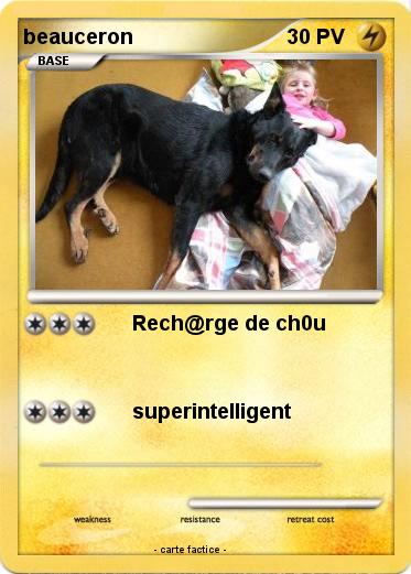 Pokemon beauceron