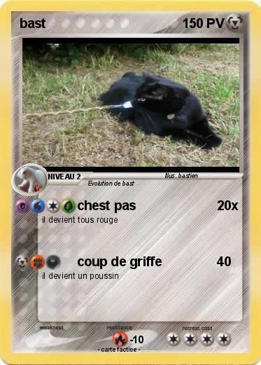 Pokemon bast