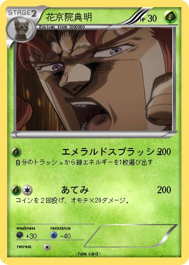 Pokemon 花京院典明