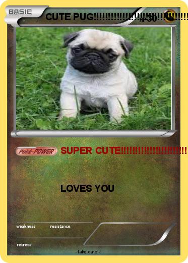 Pokemon CUTE PUG!!!!!!!!!!!!!!!!!!!!!!!!!!!!!!!!!!!