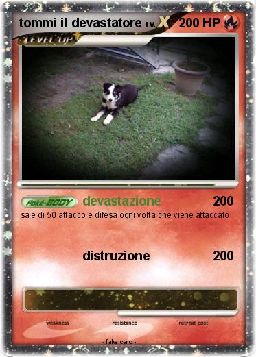 Pokemon tommi il devastatore