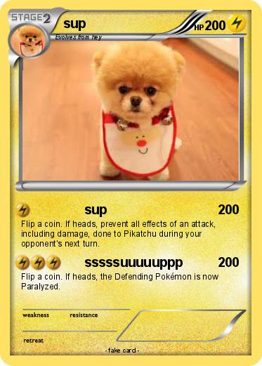 Pokemon sup