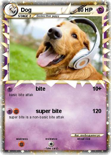 Pokemon Dog