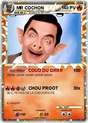 Pokemon MR COCHON