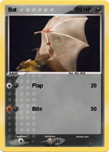 Pokemon Bat