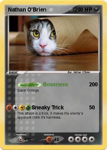 Pokemon Nathan O'Brien