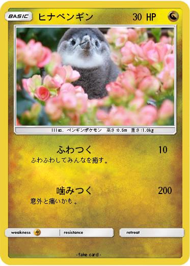 Pokemon ヒナペンギン