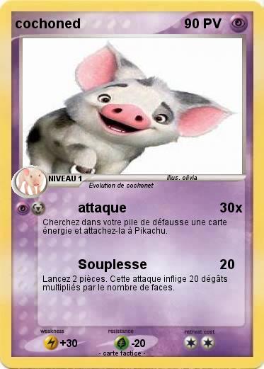 Pokemon cochoned