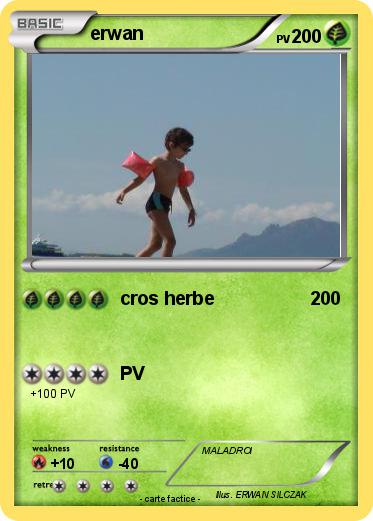 Pokemon erwan