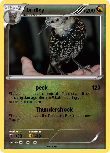 Pokemon birdley