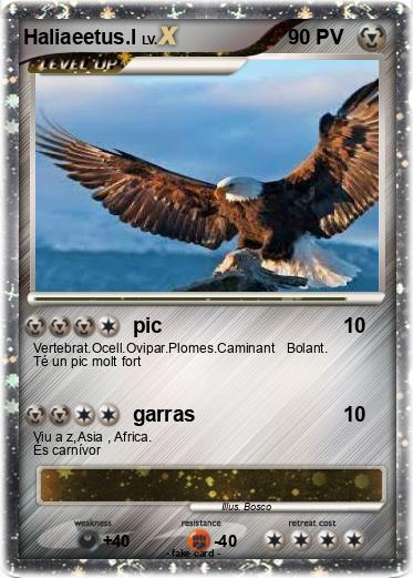 Pokemon Haliaeetus.l