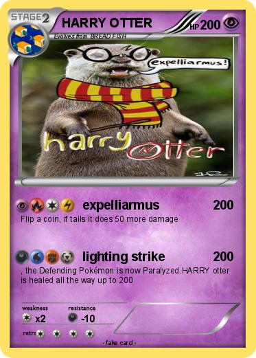 Pokemon HARRY OTTER