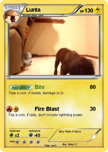 Pokemon Lunta