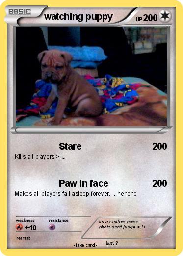 Pokemon watching puppy