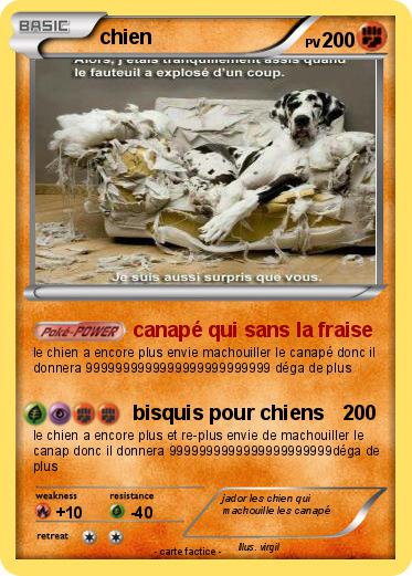 Pokemon chien
