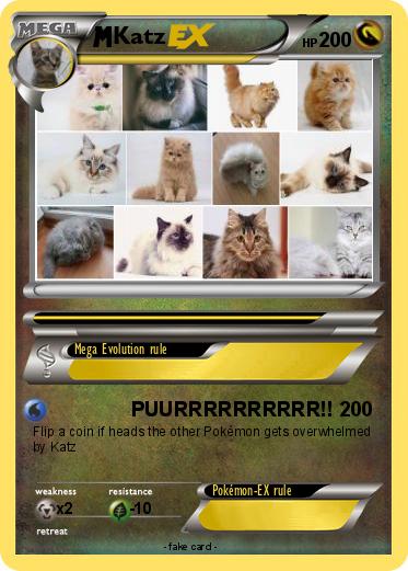 Pokemon Katz