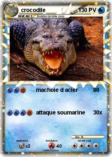 Pokemon crocodile