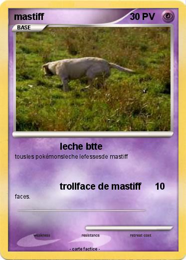 Pokemon mastiff