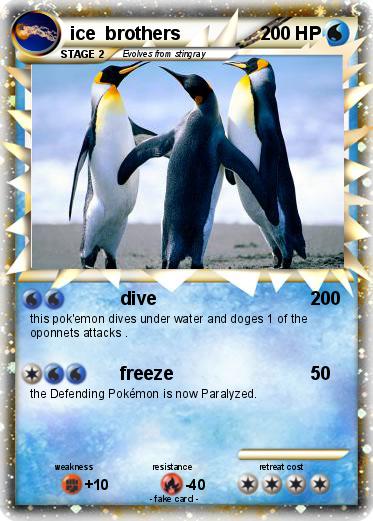 Pokemon ice  brothers