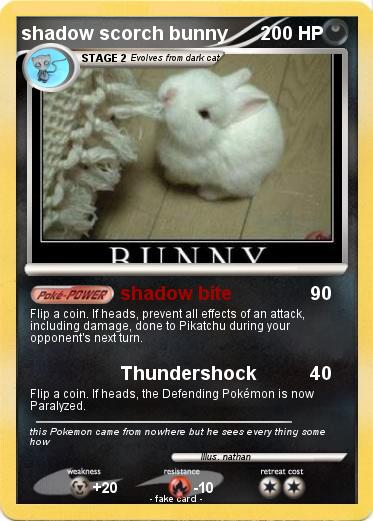 Pokemon shadow scorch bunny