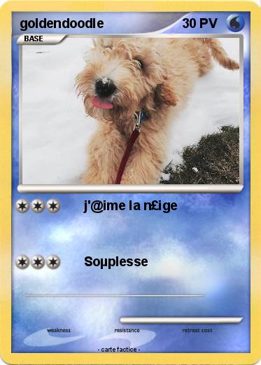 Pokemon goldendoodle