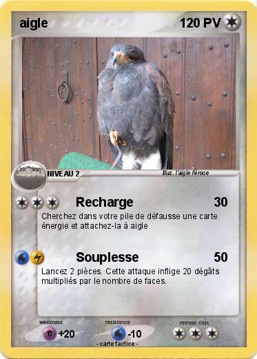 Pokemon aigle
