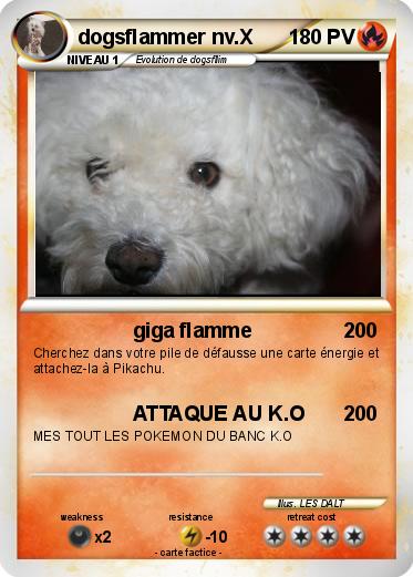 Pokemon dogsflammer nv.X
