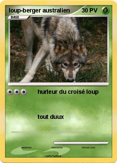 Pokemon loup-berger australien