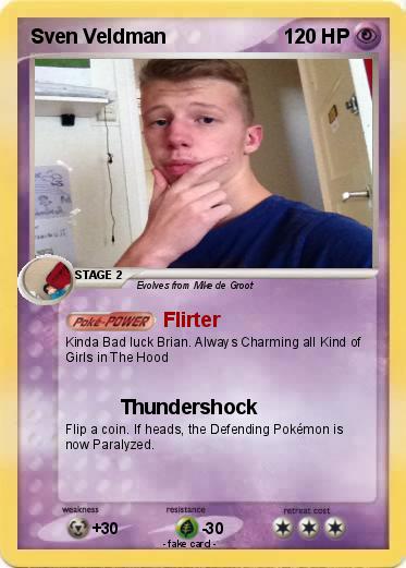 Pokemon Sven Veldman