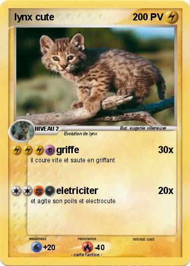 Pokemon lynx cute