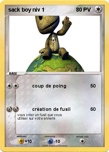 Pokemon sack boy niv 1