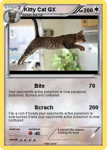 Pokemon Kitty Cat GX