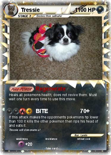 Pokemon Tressie                       1