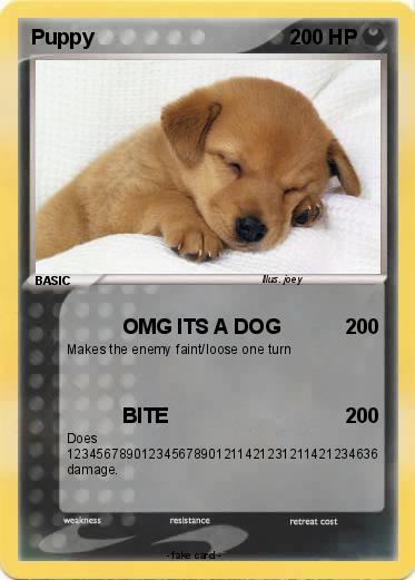 Pokemon Puppy