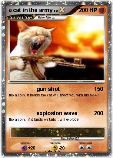 Pokemon a cat in the army