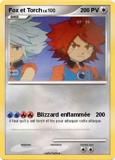 Pokemon Fox et Torch